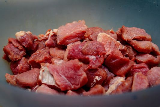 BARF richtig auftauen: So bleibt dein Hundefutter frisch & sicher