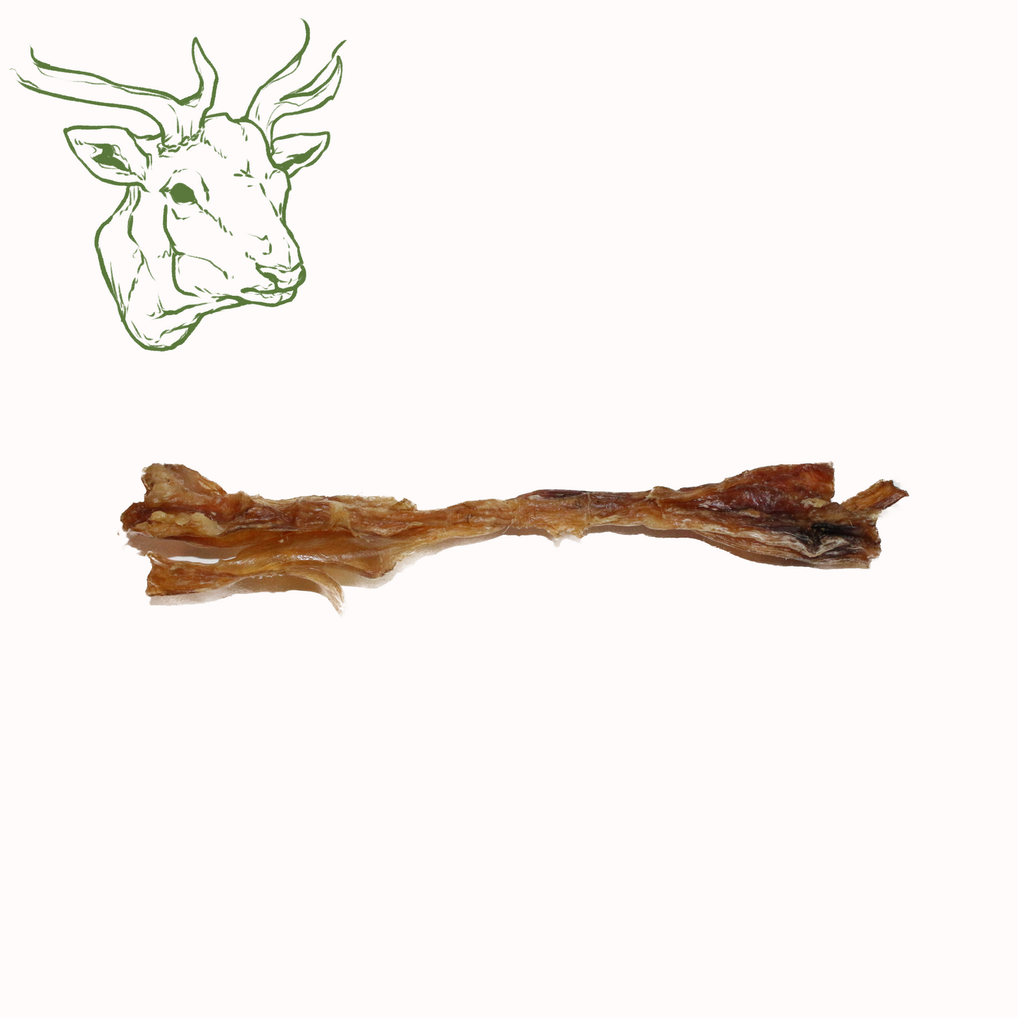 Hirschachillessehne