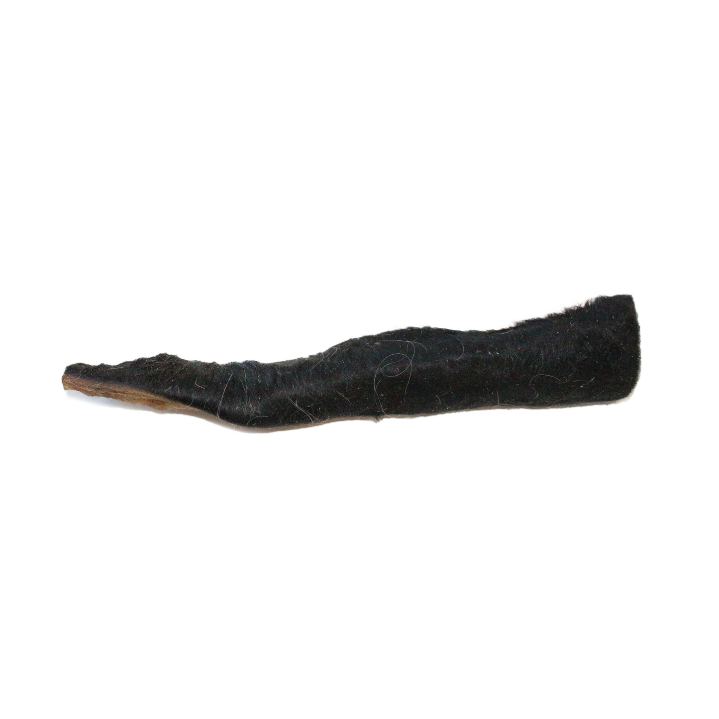 Rinderkopfhaut mit Fell (15 cm) (1 Stk., 5 Stk., 10 Stk.)