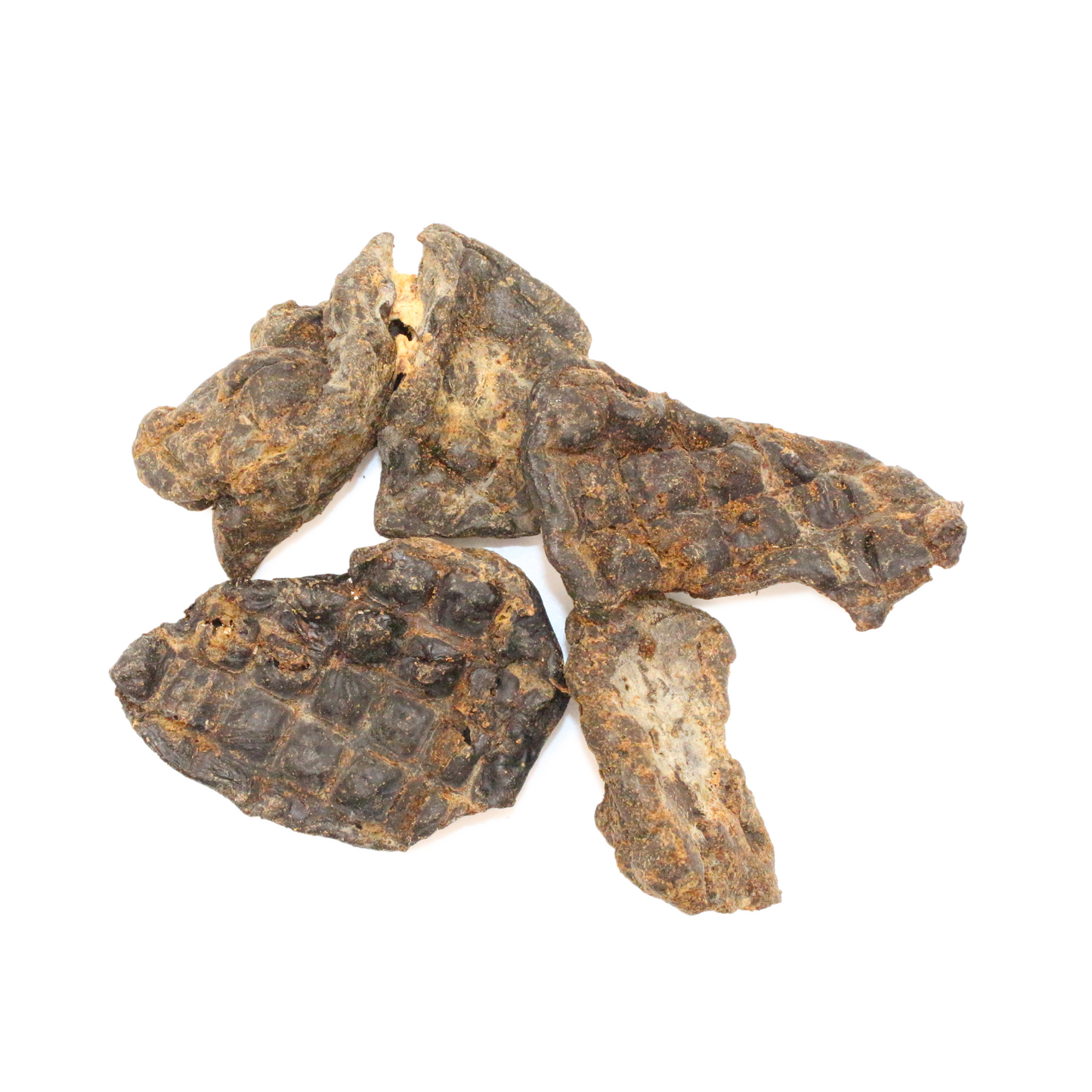 Pferdeleber getrocknet