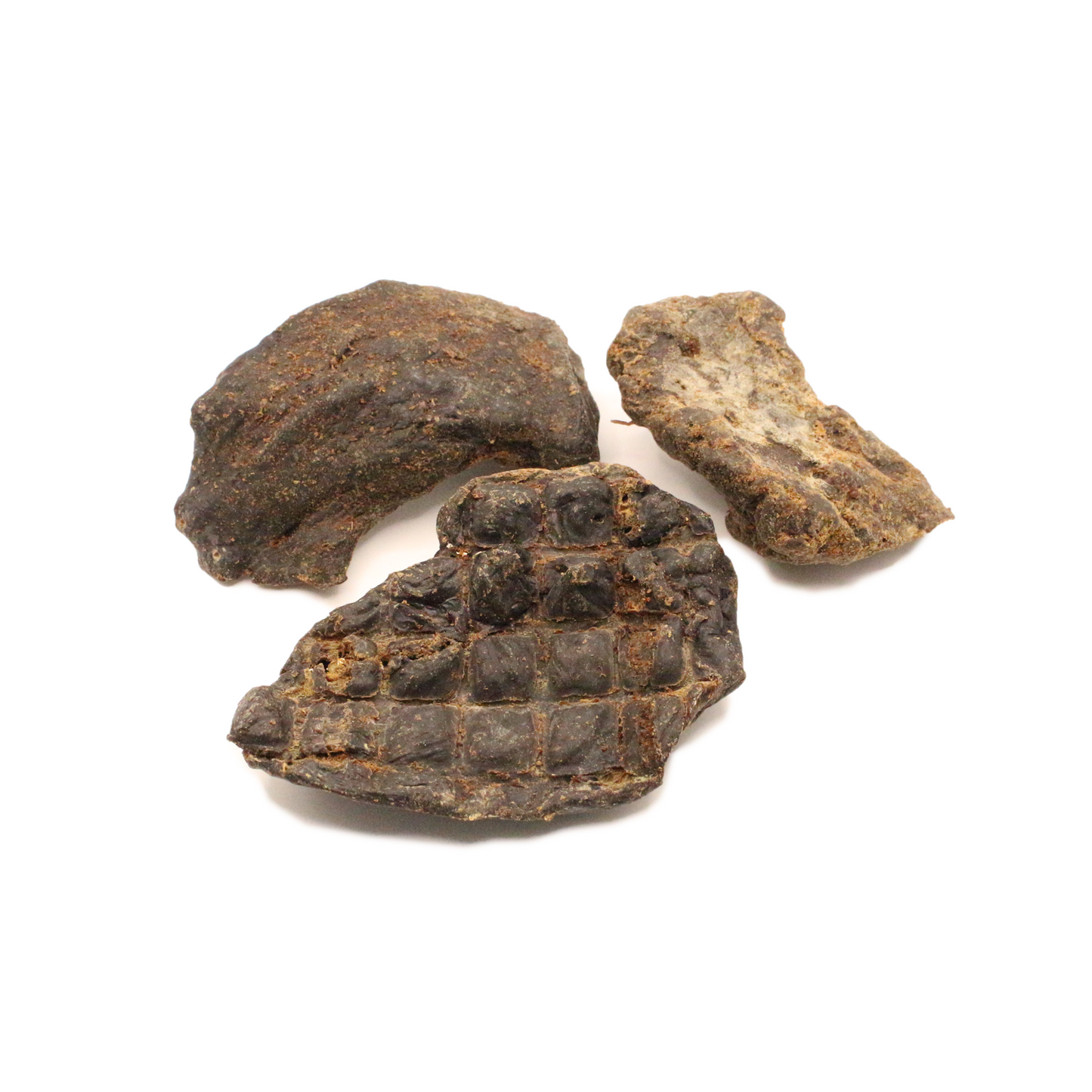 Pferdeleber (250 g, 500 g, 1 kg)