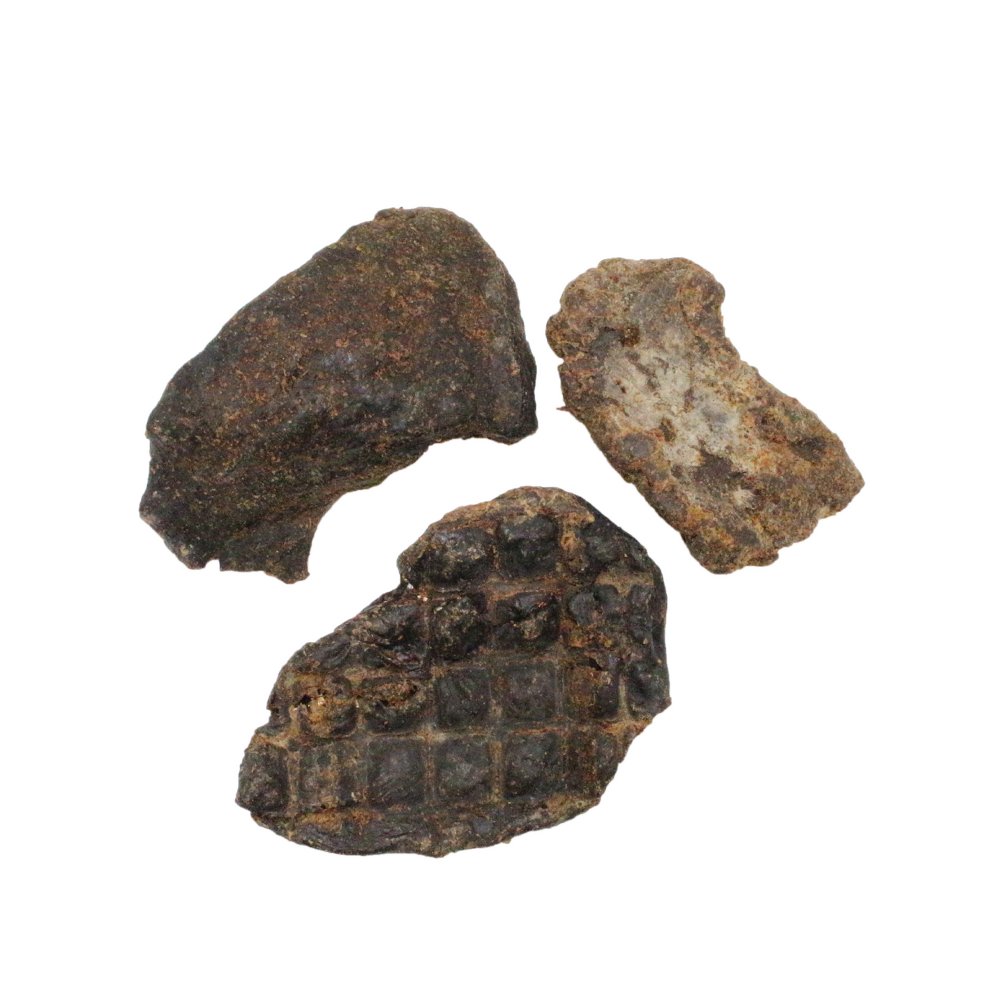 Pferdeleber getrocknet