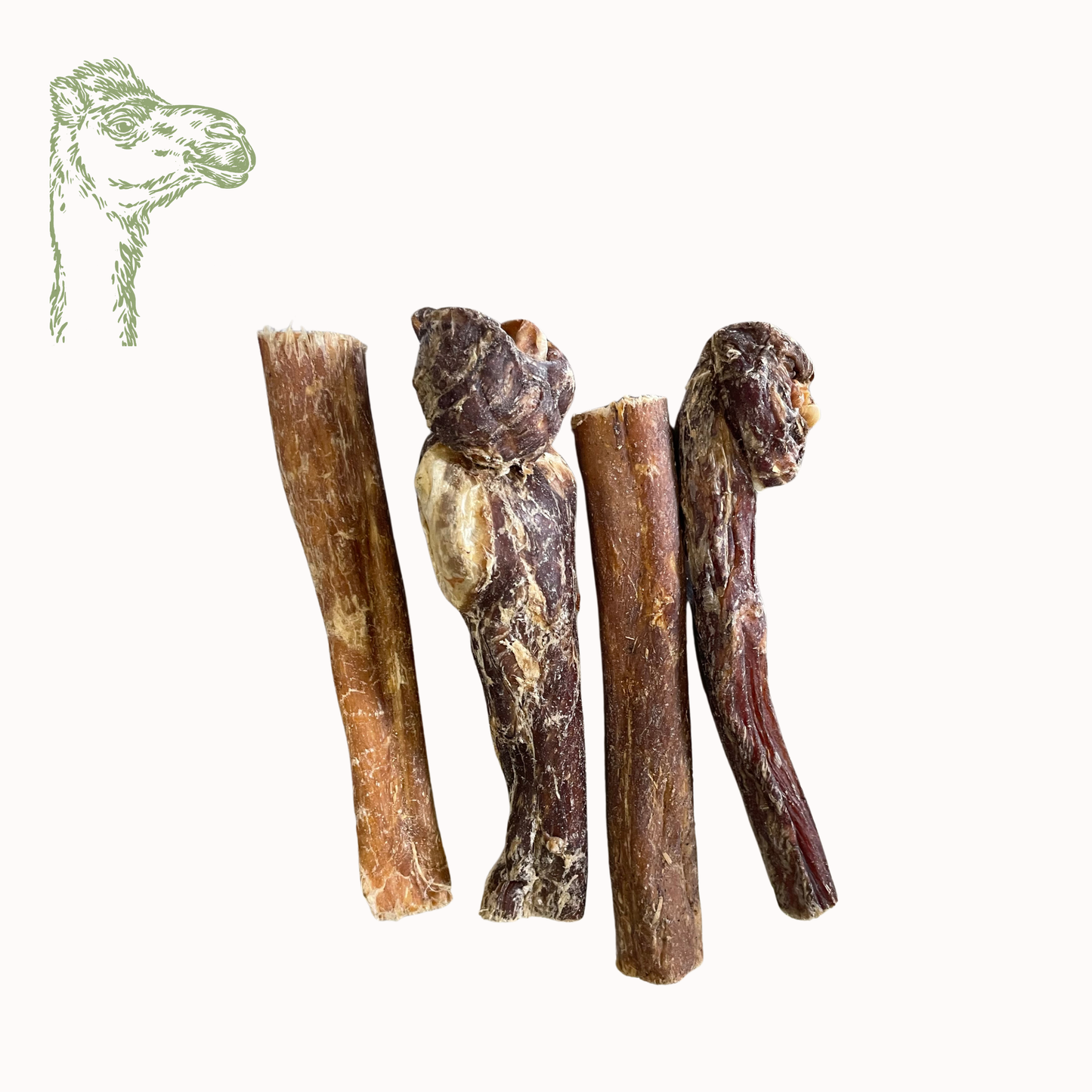 Kamelschlund (100g, 250g, 500g, 1kg, 5kg)