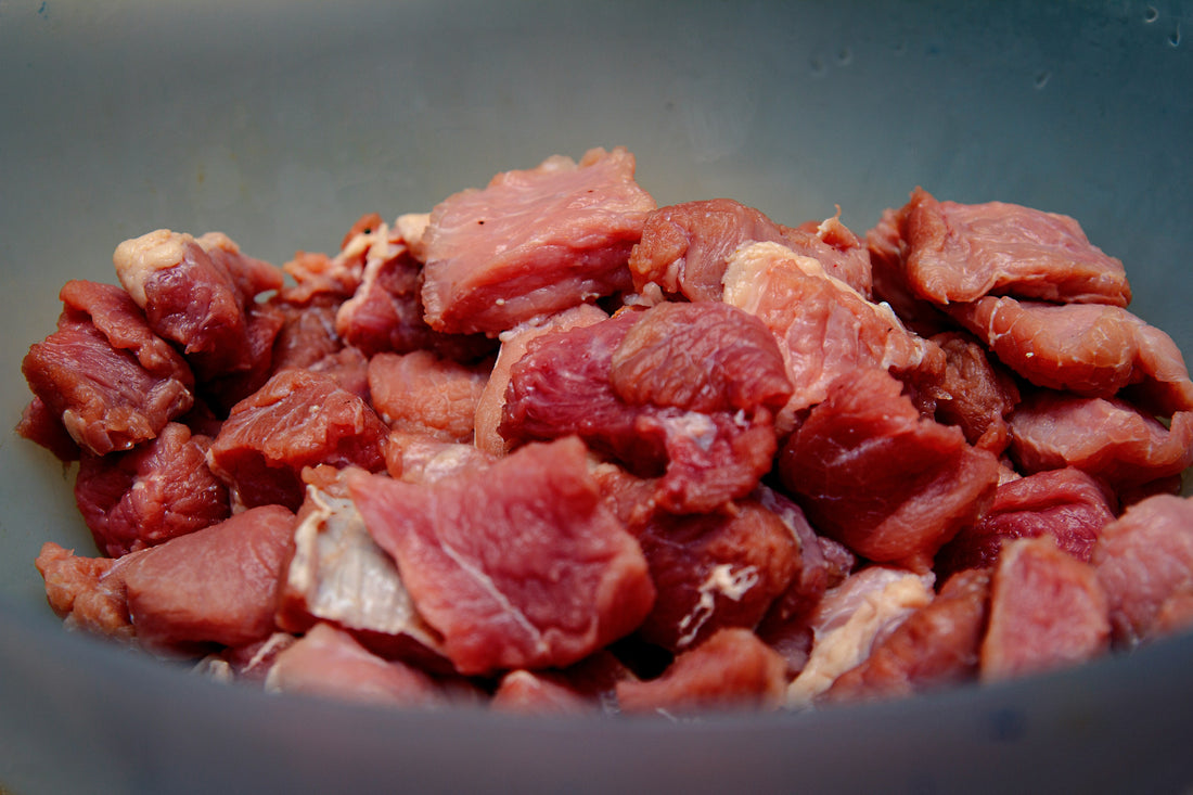 BARF richtig auftauen: So bleibt dein  Hundefutter frisch & sicher