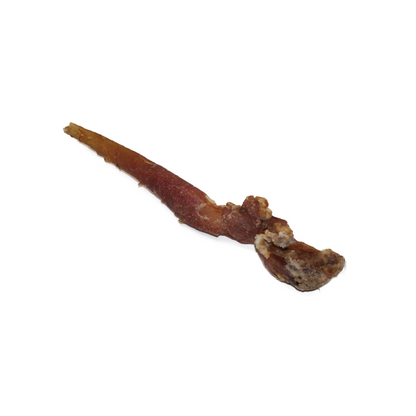 Pferdeaorta