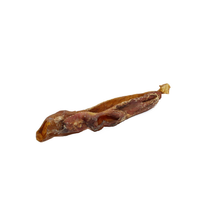 Pferdeaorta