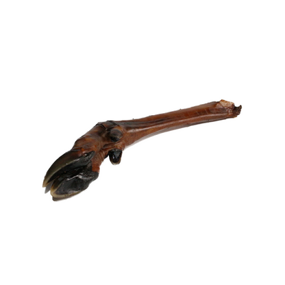 Hirschunterbeine