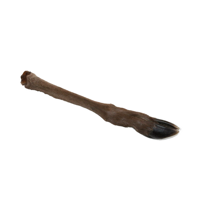 Hirschunterbeine mit Fell