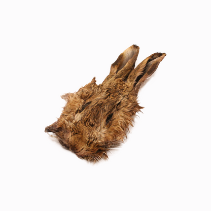 Wildhase