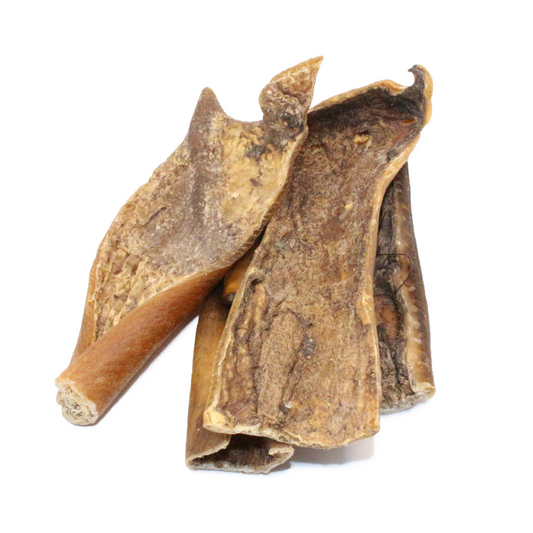 Getrocknete Hirschhaut