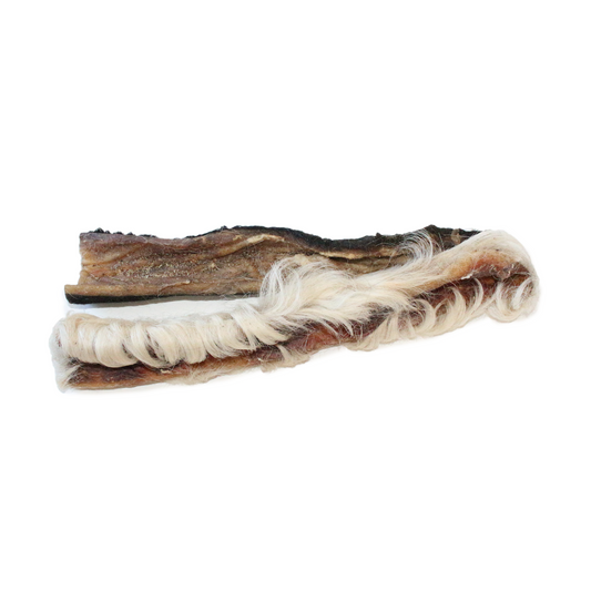 Rinderkopfhaut mit Fell (15 cm)