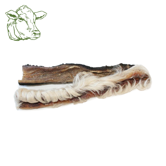 Rinderkopfhaut mit Fell (15 cm) (1 Stk., 5 Stk., 10 Stk.)