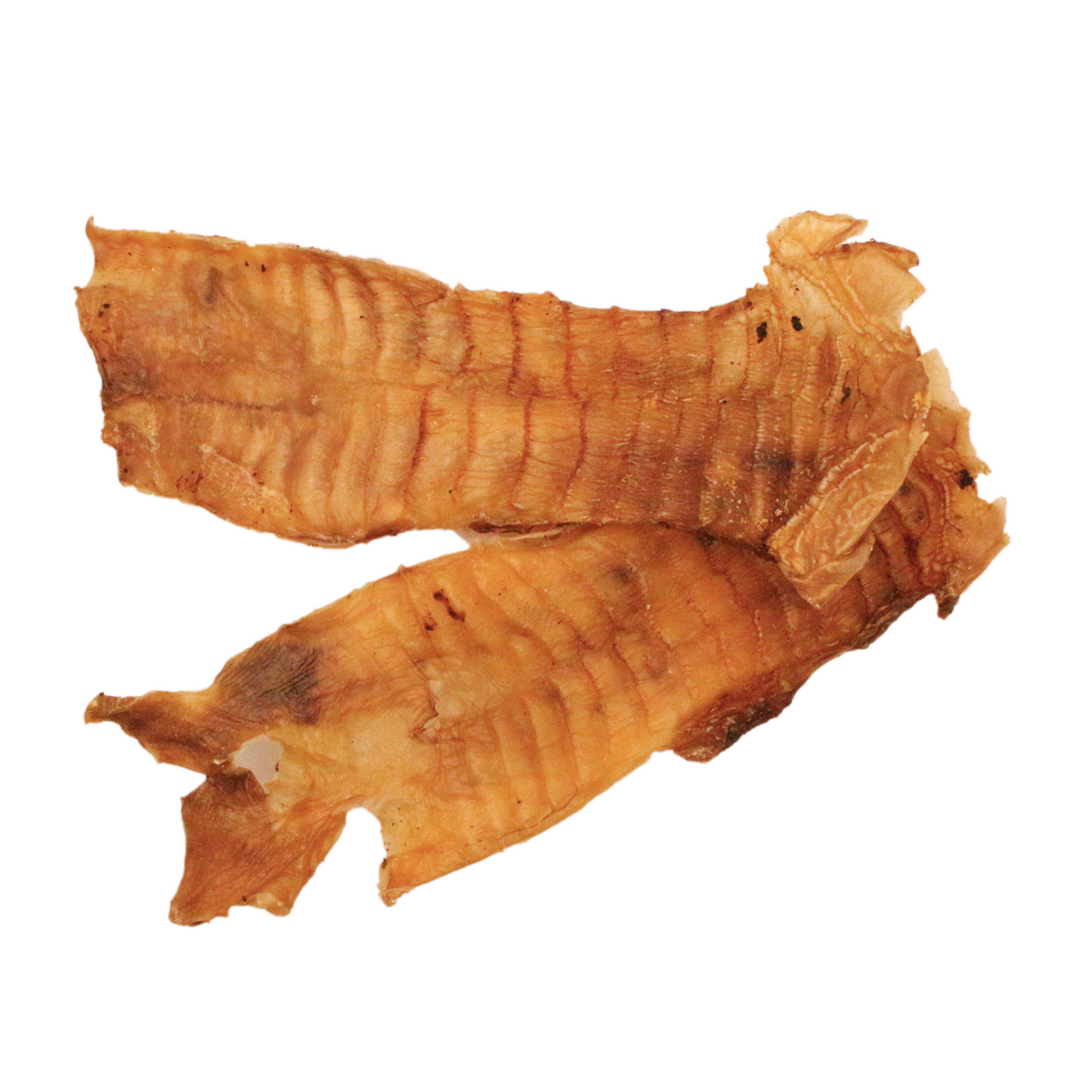 Rindergaumen