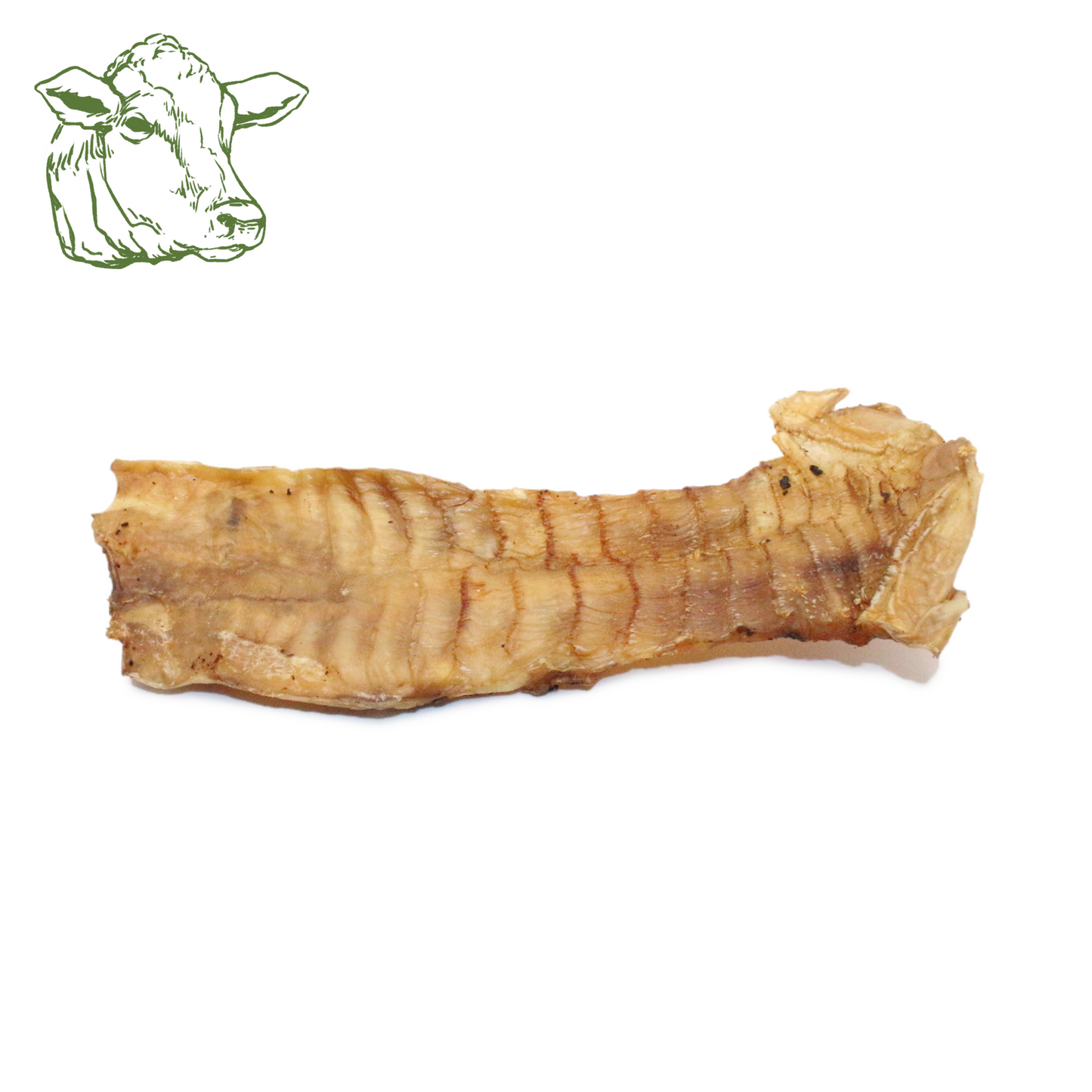 Rindergaumen