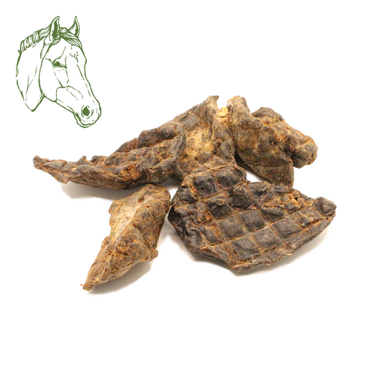 Pferdeleber getrocknet (250 g, 500 g, 1 kg)