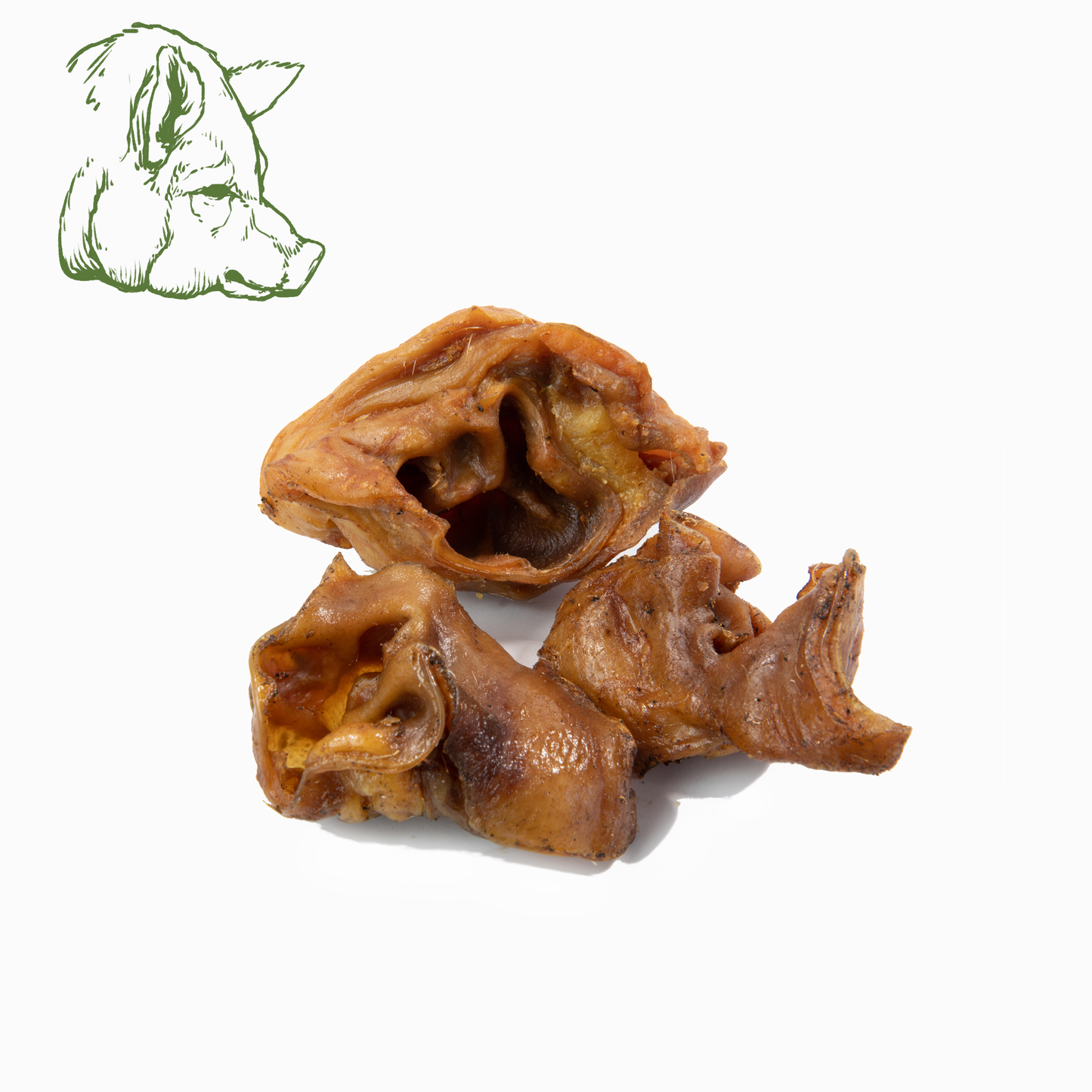 Schweineohrmuscheln