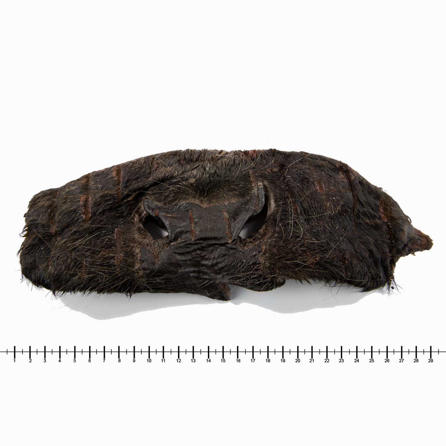 Rindernasenmasken
