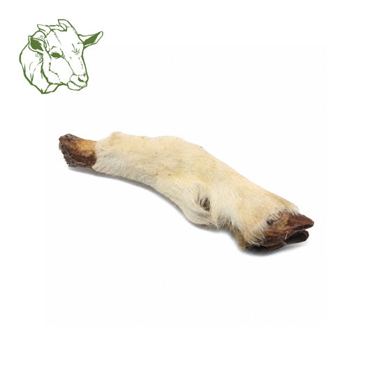 Ziegenunterbeine mit Fell